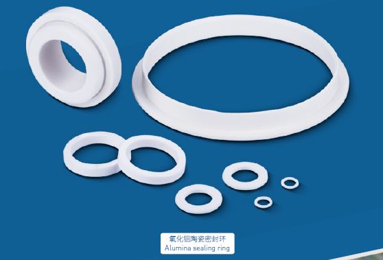 Bague de jauge en céramique