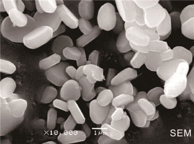 Bonne poudre d'alumine de grande pureté de céramique d'oxyde d'aluminium de la dispersibilité 99,95%