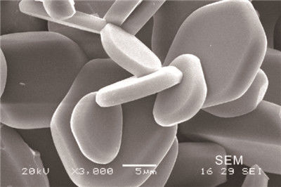plat en céramique de meulage d'alumine de l'oxyde d'aluminium 0.8g/Cm3 de gaufrette blanche de céramique